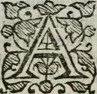 Picture 7 of 18 from An exposition of the prophesie of Hosea, begun in divers lectures, upon the first three chapters, at Michaels, Cornhill, London (1643), leaf 123