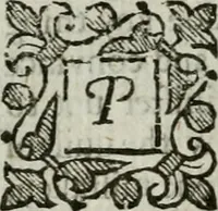 Picture 10 of 18 from An exposition of the prophesie of Hosea, begun in divers lectures, upon the first three chapters, at Michaels, Cornhill, London (1643), leaf 231