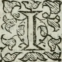 Picture 11 of 18 from An exposition of the prophesie of Hosea, begun in divers lectures, upon the first three chapters, at Michaels, Cornhill, London (1643), leaf 265