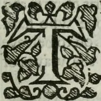 An illustration from An exposition of the prophesie of Hosea, begun in divers lectures, upon the first three chapters, at Michaels, Cornhill, London (1643)
