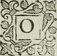 Picture 15 of 18 from An exposition of the prophesie of Hosea, begun in divers lectures, upon the first three chapters, at Michaels, Cornhill, London (1643), leaf 415