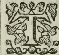 An illustration from An exposition of the prophesie of Hosea, begun in divers lectures, upon the first three chapters, at Michaels, Cornhill, London (1643)