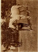 An illustration from Exposition universelle, 1900 : the chefs-d'uvre (1900)