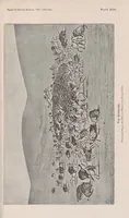Picture 6 of 8 from The extermination of the American bison (1889), leaf 163