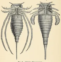 An illustration from Extinct monsters and creatures of other days: a popular account of some of the larger forms of ancient animal life (1911)