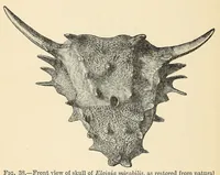 Picture 4 of 14 from Extinct monsters and creatures of other days: a popular account of some of the larger forms of ancient animal life (1911), leaf 192