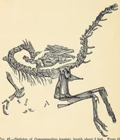 An illustration from Extinct monsters and creatures of other days: a popular account of some of the larger forms of ancient animal life (1911)