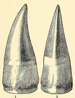 Picture 9 of 14 from Extinct monsters and creatures of other days: a popular account of some of the larger forms of ancient animal life (1911), leaf 295