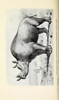 An illustration from Extinct monsters and creatures of other days: a popular account of some of the larger forms of ancient animal life (1911)
