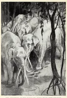 Picture 14 of 14 from Extinct monsters and creatures of other days: a popular account of some of the larger forms of ancient animal life (1911), leaf 402