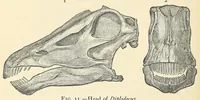 An illustration from Extinct monsters : a popular account of some of the larger forms of ancient animal life (1893)