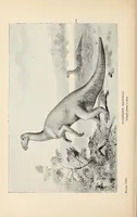 An illustration from Extinct monsters : a popular account of some of the larger forms of ancient animal life (1893)