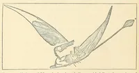 An illustration from Extinct monsters : a popular account of some of the larger forms of ancient animal life (1893)
