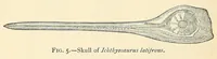 Picture 1 of 9 from Extinct monsters : a popular account of some of the larger forms of ancient animal life (1893), leaf 88