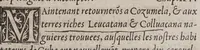 An illustration from Extraict ou recueil des isles nouuelleme[n]t trouuees en la grand mer oceane ou temps du roy Despaigne Ferna[n]d & Elizabeth sa femme, (1532)