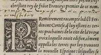 An illustration from Extraict ou recueil des isles nouuelleme[n]t trouuees en la grand mer oceane ou temps du roy Despaigne Ferna[n]d & Elizabeth sa femme, (1532)