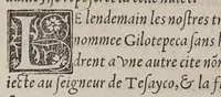 An illustration from Extraict ou recueil des isles nouuelleme[n]t trouuees en la grand mer oceane ou temps du roy Despaigne Ferna[n]d & Elizabeth sa femme, (1532)