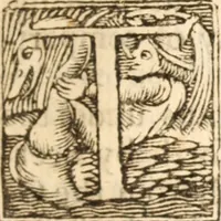An illustration from An exposition on the whole book of Solomons Song, commonly called the Canticles : wherein the text is explained, and usefull observations raised thereupon (1652)