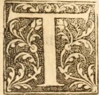 An illustration from An exposition on the whole book of Solomons Song, commonly called the Canticles : wherein the text is explained, and usefull observations raised thereupon (1652)