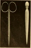 An illustration from Eyelet embroidery and its future possibilities (1905)