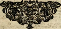 An illustration from Eyfer-schallende und andacht-funcklende marianische Lob-Trompeten, oder, Uber der glorwürdigsten Himmels-Königin Mariae vornehmste Feste : als dero heilwärtige Empfängnuss, erfreuliche Geburt löbliche Opferung ... Sinn-Bildern gezierte Lob-Reden ... (1696)