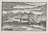 An illustration from Eyghentlijcke beschryvinghe van West-Indien : hoe die landen en provintien gehleghen zijn ... (1621)