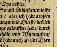 An illustration from Eylffter Schiffart ander Theil, oder Kurtzer Verfolg vnd Continuirung der Reyse, so von den Holl- vnd Seeländen in die Ost-Indien mit neun grossen vnd vier kleinen Schiffen vom 1607. biss in das 1612. Jahr, vnter der Admiralschafft Peter Wilhelm Verhuffen verrichtet worden, beneben etlichen Colloquien vnd Gesprechen, in Teutscher, Malaischer vnd Madagascarischer Sprach beschrieben, allen so der Ost-Indianischen Reyse sich gebrauchen, fast nutz vnd notwendig zu lesen &c. (1613)