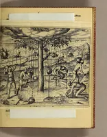 An illustration from Eylffte Schiffart, oder Kurtze Beschreibung einer Reyse, so von den Holländern vnd Seeländern, in die Ost Indien, mit neun grossen vnd vier kleinen Jagschiffen, vnder der Admiralschafft Peter Wilhelm Verhuffen, &c. in Jahren 1607. 1608. vnd 1609. verrichtet worden, neben vermeldung, was jhnen sonderlich begegnet sey. (1612)
