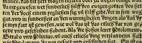 An illustration from Eyn schön hübsch Lesen von etlichen Insslen die do in kurtzen Zyten funden synd durch de[n] Künig von Hispania. : vnd sagt vo[n] grossen wunderlichen Dingen die in de[n] selbe[n] Insslen synd