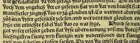 Picture 3 of 5 from Eyn schön hübsch Lesen von etlichen Insslen die do in kurtzen Zyten funden synd durch de[n] Künig von Hispania. : vnd sagt vo[n] grossen wunderlichen Dingen die in de[n] selbe[n] Insslen synd, leaf 18