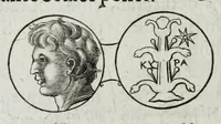 Picture 23 of 55 from Ezechielis Spanhemii Dissertationes de praestantia et usu numismatum antiquorum (1671), leaf 308