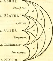 An illustration from Fabii Columnæ, Lyncei, nobilis Neapolitani, genere Romani, Opusculum de Purpura : Romae primùm, an. 1616 editum, & nunc iterùm luci datum, operâ ac studio Johann-Danielis Majoris ... cujus novissimè accesserunt annotationes quædam (1675)
