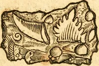 Picture 53 of 58 from Fabii Columnæ, Lyncei, nobilis Neapolitani, genere Romani, Opusculum de Purpura : Romae primùm, an. 1616 editum, & nunc iterùm luci datum, operâ ac studio Johann-Danielis Majoris ... cujus novissimè accesserunt annotationes quædam (1675), leaf 236