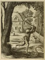 Picture 9 of 45 from The fables of Aesop paraphras'd in verse : adorn'd with sculpture, and illustrated with annotations (1668), leaf 124