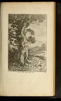 Picture 10 of 45 from The fables of Aesop paraphras'd in verse : adorn'd with sculpture, and illustrated with annotations (1668), leaf 157