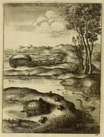 Picture 16 of 45 from The fables of Aesop paraphras'd in verse : adorn'd with sculpture, and illustrated with annotations (1668), leaf 250