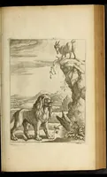 Picture 28 of 45 from The fables of Aesop paraphras'd in verse : adorn'd with sculpture, and illustrated with annotations (1668), leaf 457