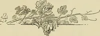 An illustration from The fables of Æsop, selected, told anew and their history traced (1894)