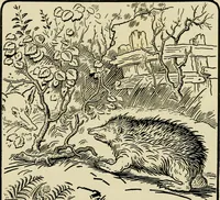 An illustration from The fables of Æsop, selected, told anew and their history traced (1894)