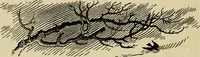 An illustration from The fables of Æsop, selected, told anew and their history traced (1894)