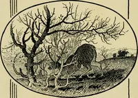 An illustration from The fables of Æsop, selected, told anew and their history traced (1894)