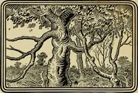 An illustration from The fables of Æsop, selected, told anew and their history traced (1894)