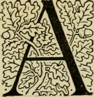 An illustration from The fables of Æsop, selected, told anew and their history traced (1894)