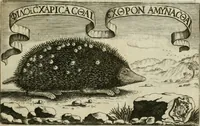 An illustration from Raph. Fabretti Gasparis f. Vrbinatis De aquis et aquaeductibus veteris Romae dissertationes tres (1680)