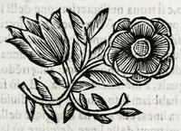 An illustration from Fabrica, et vso del compasso di proportione : doue insegna à gli artefici il modo di fare in esso le necessarie diuisioni, e con varij problemi vsuali mostra l'vtilità di questo stromento (1664)