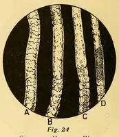 An illustration from Fabric analysis; covering wool, worsted, silk, cotton, artificial silk, etc. from fiber to finished fabric (1920)