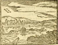 An illustration from Fabulae Aesopi graecaè et latinè, nunc denuo selectae (1672)