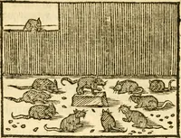 An illustration from Fabulae Aesopi graecaè et latinè, nunc denuo selectae (1672)