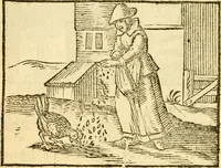 Picture 10 of 50 from Fabulae Aesopi graecaè et latinè, nunc denuo selectae (1672), leaf 17