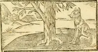 An illustration from Fabulae Aesopi graecaè et latinè, nunc denuo selectae (1672)